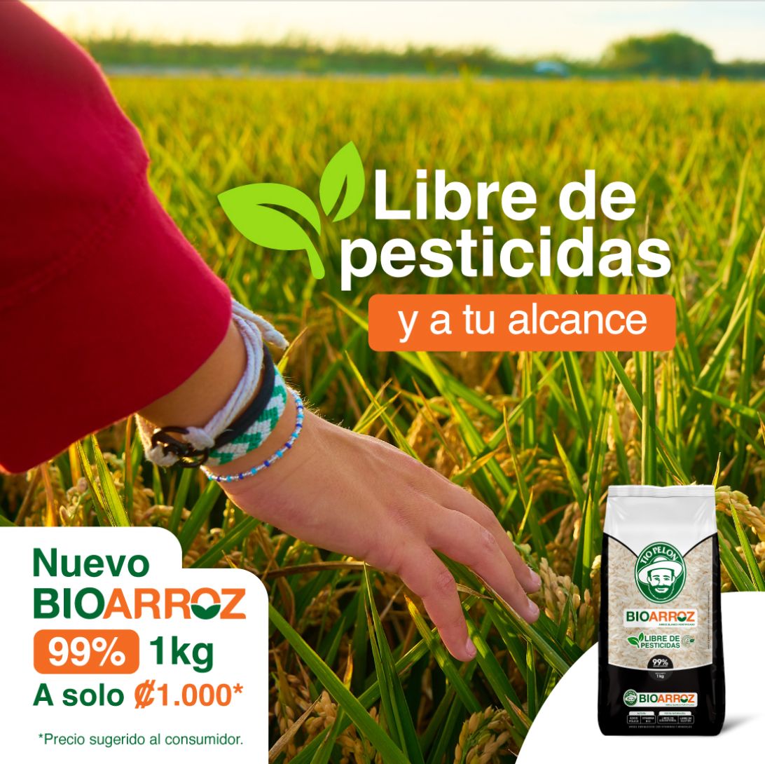 Bioarroz libre de pesticidas en arrozal